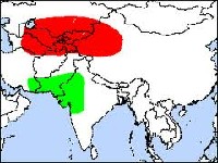 Mapa dystrybucji Gołebia brunatnego. kolor zielony miejsce zimowania, kolor czerwony miejsce rozrodu